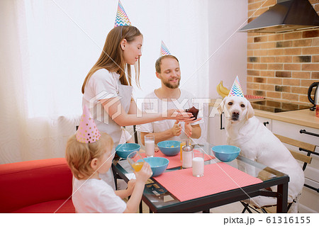 happy domestic dog with owners in kitchen 61316155