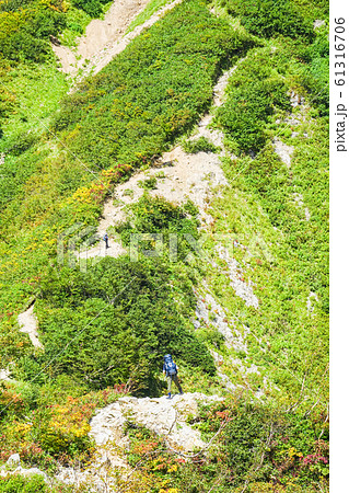 秋の五竜岳登山 （白岳直下の急登） 61316706