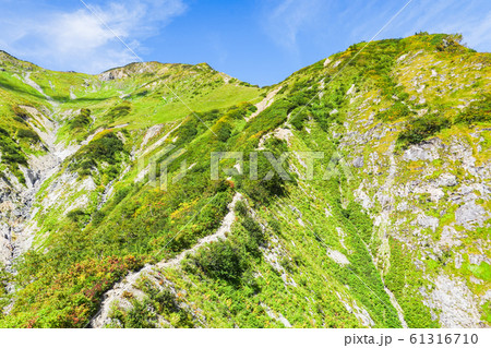 秋の五竜岳登山 (白岳直下の急登) 秋の五竜岳登山 (白岳直下の急登) 61316710