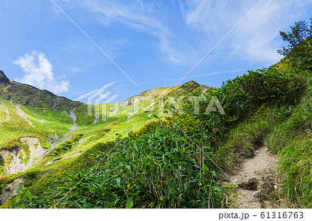 秋の五竜岳登山 (白岳) 秋の五竜岳登山 (白岳) 61316763