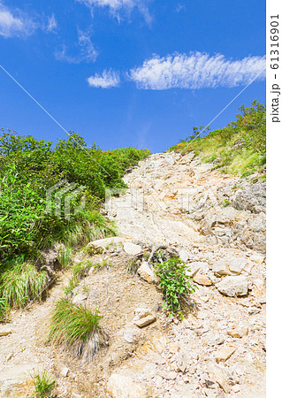 秋の五竜岳登山 (白岳直下の急登) 秋の五竜岳登山 (白岳直下の急登) 61316901