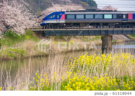 春爛漫のスーパーはくと 61319044