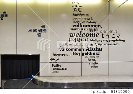 バゲージクレーム 61319090