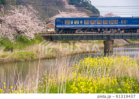 春のあめつち 61319437