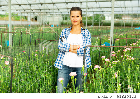 Woman gardener is standing with flowers carnation in orangery 61320123