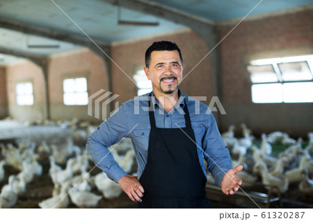 Man standing among white gooses Man standing among white gooses 61320287