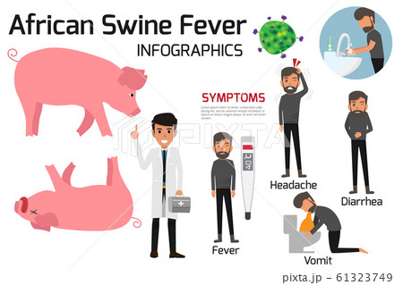 African Swine Fever virus (ASF) infographics 61323749