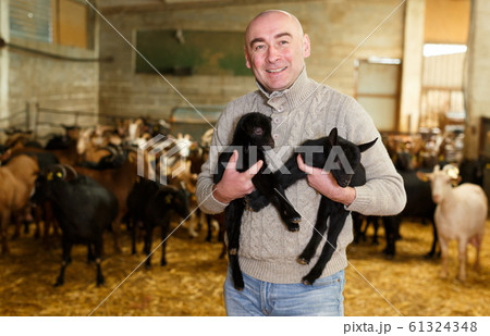 Positive farmer with goatlings on his hands 61324348