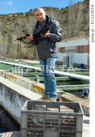 Fish farmer holding sturgeon 61324658
