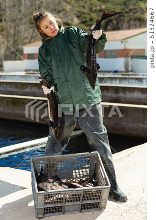 Female holding sturgeon fish Female holding sturgeon fish 61324667