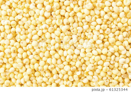 もちきび もちきび 61325344