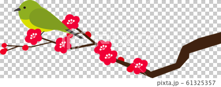 Early spring, plum, branch, white-eye 61325357