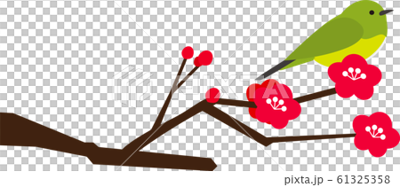 Early spring, plum, branch, white-eye Early spring, plum, branch, white-eye 61325358