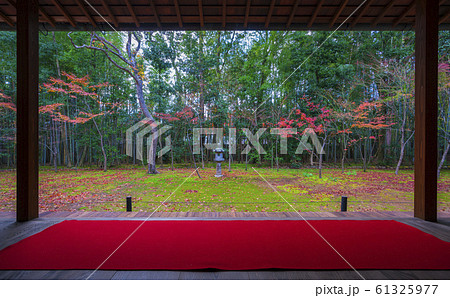 京都　高桐院の紅葉　　　　　 61325977