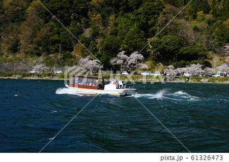 海津大崎　桜　琵琶湖 61326473