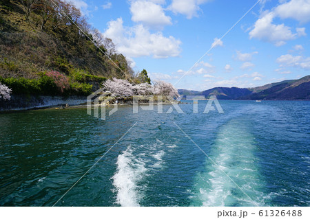 海津大崎 桜 琵琶湖 海津大崎 桜 琵琶湖 61326488