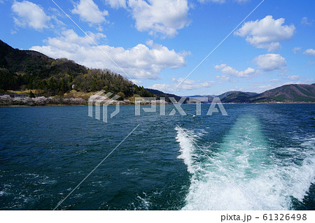 海津大崎　桜　琵琶湖 61326498