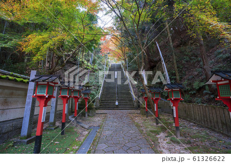 京都　狸谷山不動院（たぬきだにさんふどういん）の参道と紅葉　　　 61326622