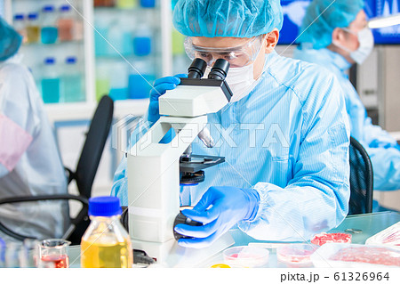 Microbiological Test Food Quality Microbiological Test Food Quality 61326964