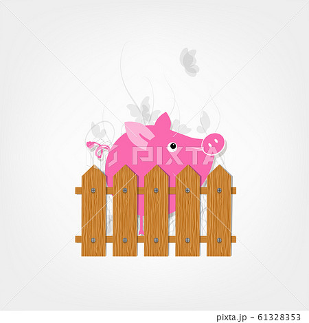 Funny pig behind wooden fence of garden for your Funny pig behind wooden fence of garden for your 61328353