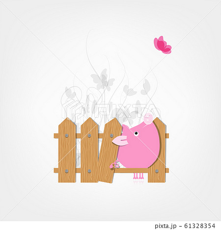 Funny pig behind wooden fence of garden for your Funny pig behind wooden fence of garden for your 61328354