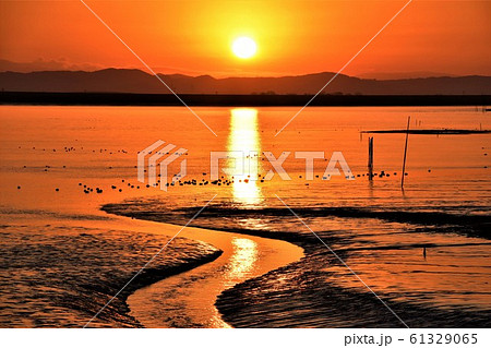 有明海日の出 61329065