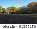 千葉県柏市南部公園の広場 61329150