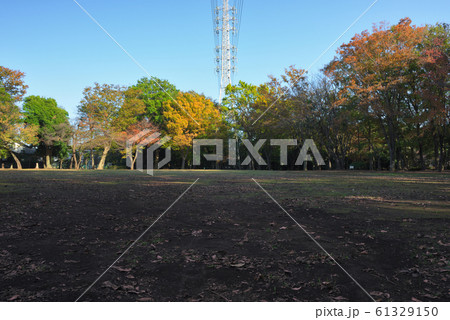 千葉県柏市南部公園の広場 61329150