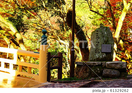 鶴仙渓の紅葉 鶴仙渓の紅葉 61329262