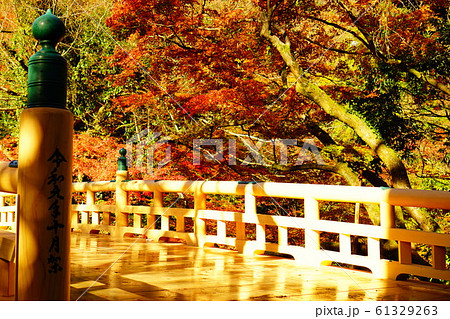 鶴仙渓の紅葉 鶴仙渓の紅葉 61329263