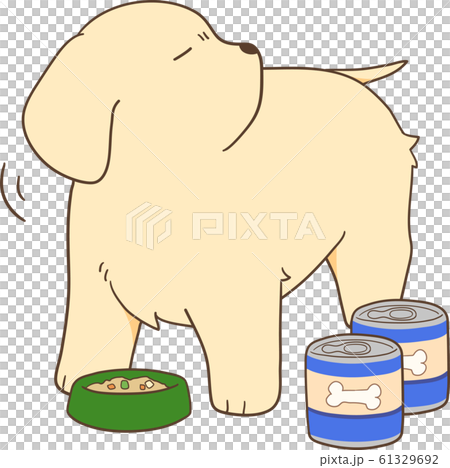 ゴールデンレトリバーの子犬（缶詰の餌を食べない） 61329692