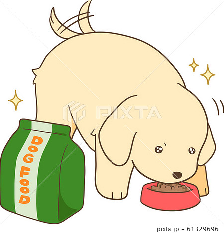 ゴールデンレトリバーの子犬 ドッグフードを喜んで食べる のイラスト素材