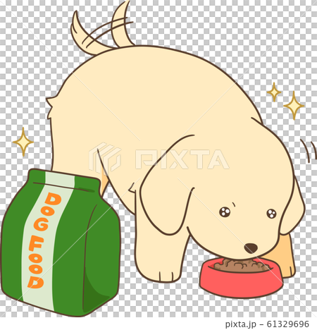 ゴールデンレトリバーの子犬（ドッグフードを喜んで食べる） 61329696