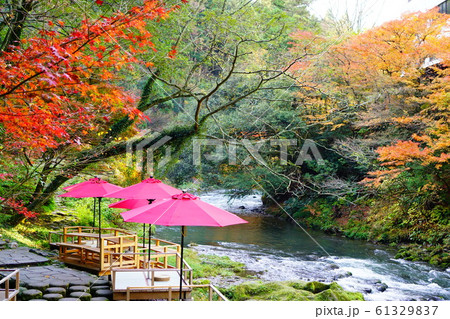 鶴仙渓の川床 61329837