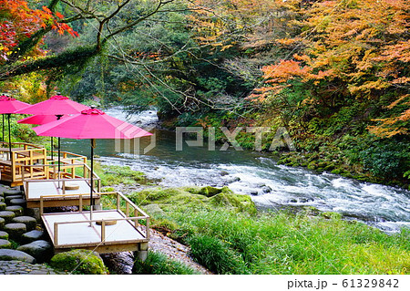 鶴仙渓の川床 61329842