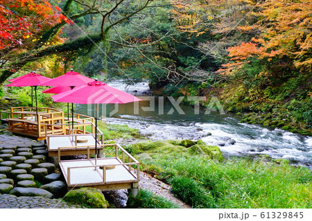 鶴仙渓の川床 61329845