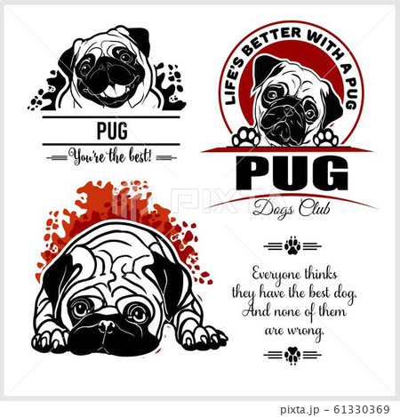 Pug - vector set for t-shirt, logo and template badges Pug - vector set for t-shirt, logo and template badges 61330369