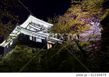 静岡 浜松城と夜桜1の写真素材