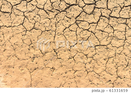 cracked ground for background 61331659