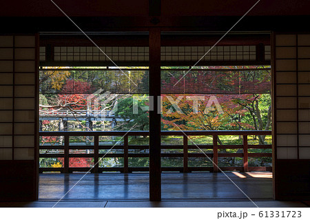 京都御苑の拾翠亭（しゅうすいてい）と九條池　紅葉 61331723