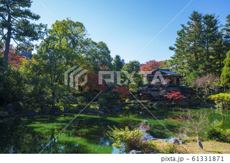 京都御苑の拾翠亭(しゅうすいてい)と九條池 紅葉 京都御苑の拾翠亭(しゅうすいてい)と九條池 紅葉 61331871