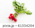 ラディッシュ 61334204