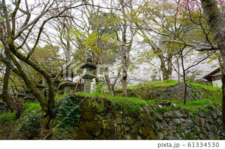 談山神社 桜 奈良県 談山神社 桜 奈良県 61334530