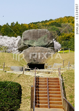 石舞台 桜 奈良県 明日香 石舞台 桜 奈良県 明日香 61334907