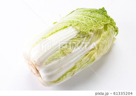 白菜 61335204