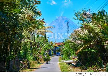 インドネシア ジャワ島 メラピ山(Mount Merapi) 田舎道 インドネシア ジャワ島 メラピ山(Mount Merapi) 田舎道 61335220