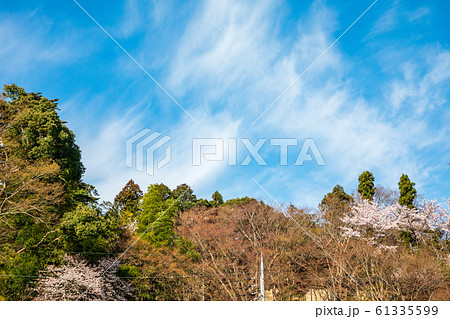 春の大宇陀の空 奈良県 61335599