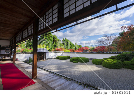 京都　正伝寺（しょうでんじ）の紅葉　　 61335611