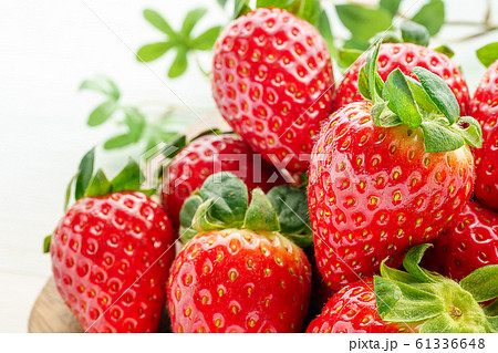 新鮮な苺 61336648