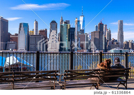 《ニューヨーク》マンハッタンの眺め・ブルックリンハイツプロムナード 61336864